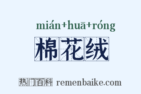 棉花绒是什么意思的图片
